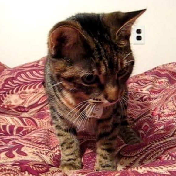 Meet your Posher, Esther - Picture 1 of 1